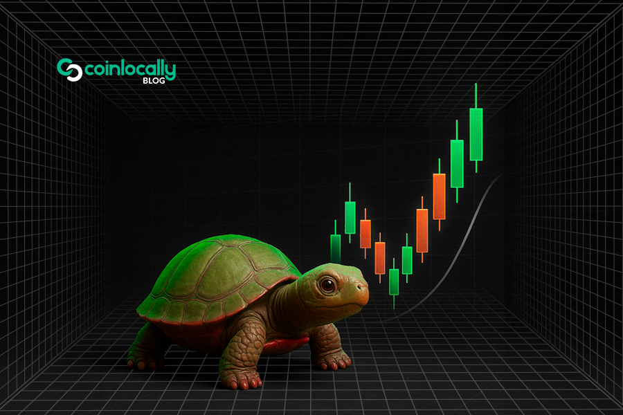 استراتژی Turtle Soup؛ وقتی بازار دروغ می‌گوید