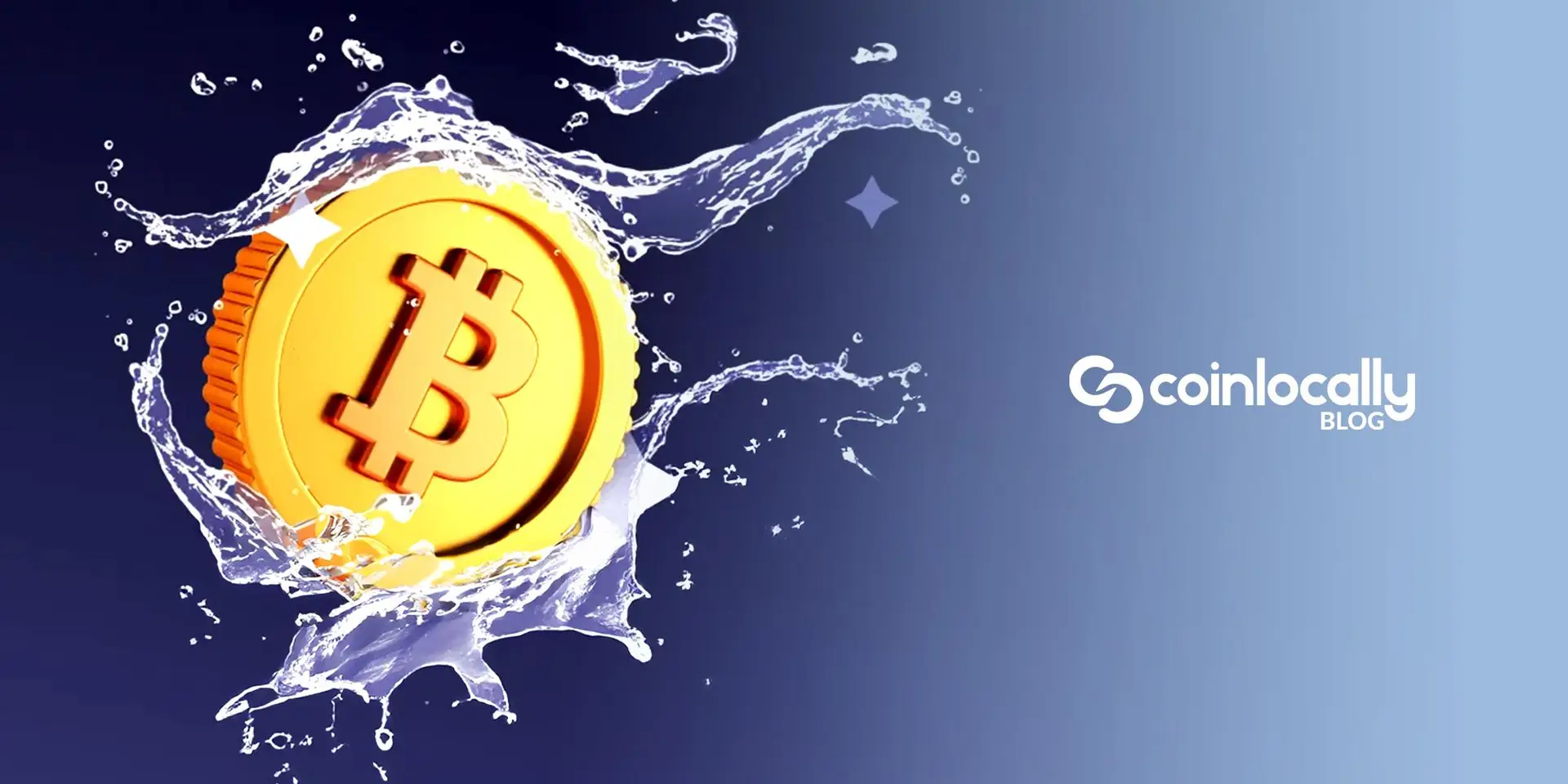 Liquidity Provider